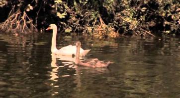 Kayaking in Knowle West