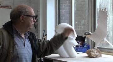 Creating a Chicken Wire Sculpture