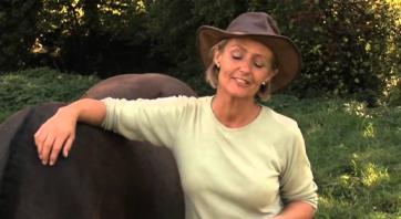 Raising Wild Welsh Horses